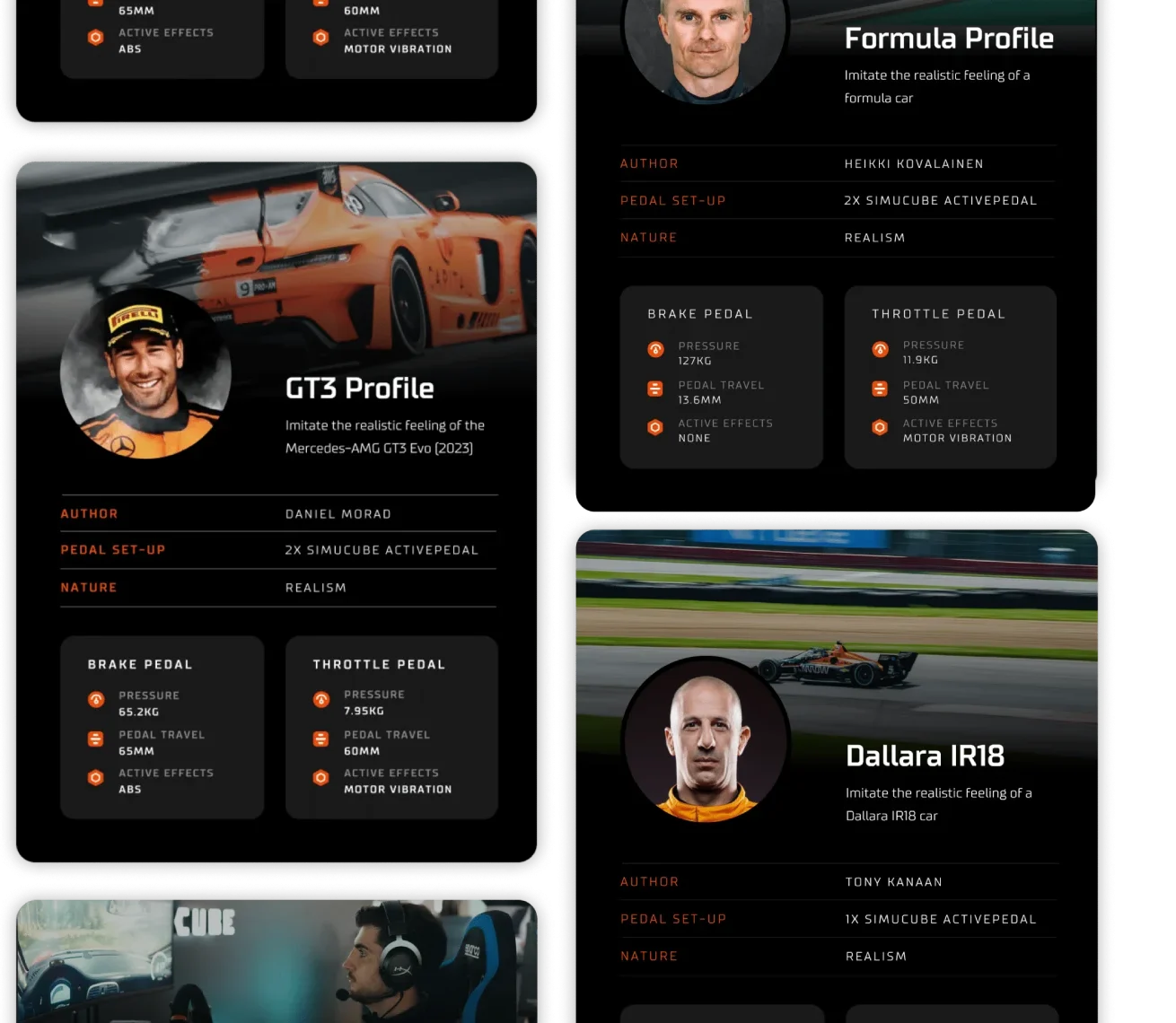 Profiles-1